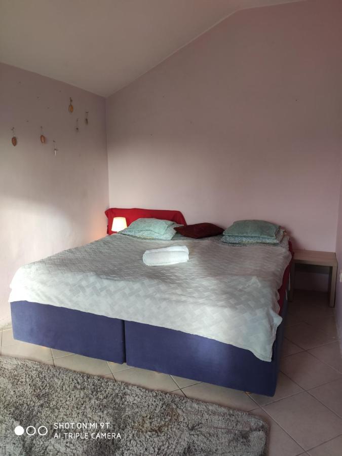 Popularna Guest Home Warszawa Eksteriør billede